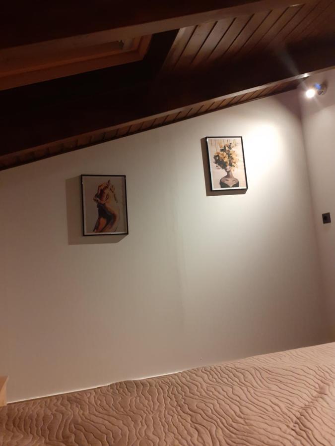 The View Attic Appartement Ioannina Buitenkant foto